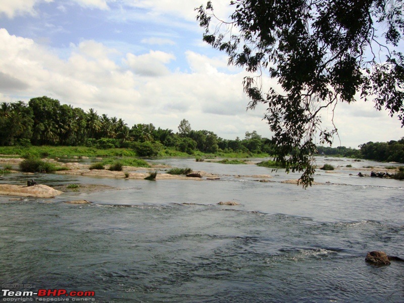 My Sojourn - Chennai to Wayanad via Mysore-dsc01404.jpg