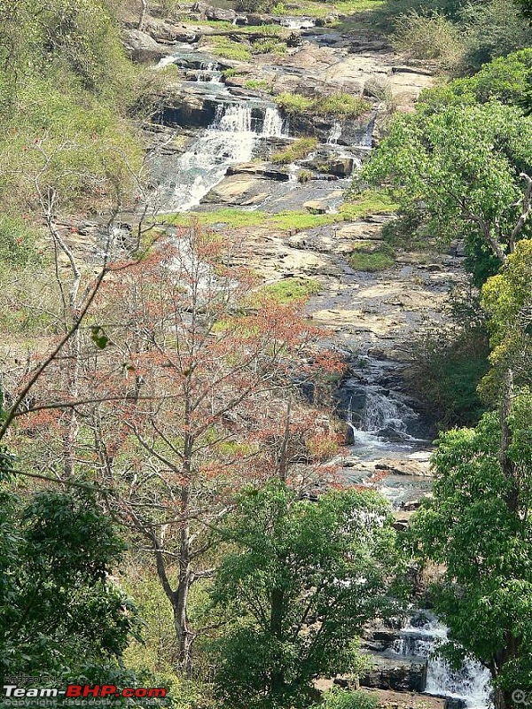 A Day and a Night in Chamarajanagar Forest with fellow Bhpians...-3.jpg