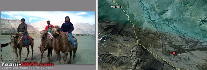 Hawk-On-Fours (H-4) Roadtrip:  Leh(t)'s go to Ladakh & Srinagar with QuickSilver.-camels-3.jpg