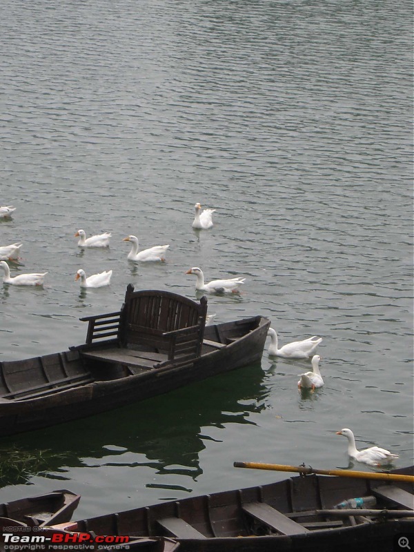 The Lakes - Nainital, Bhimtal, Naukuchiyatal, Sattal.-3.jpg
