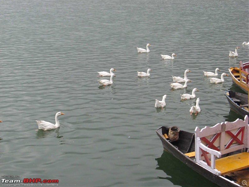 The Lakes - Nainital, Bhimtal, Naukuchiyatal, Sattal.-4.jpg