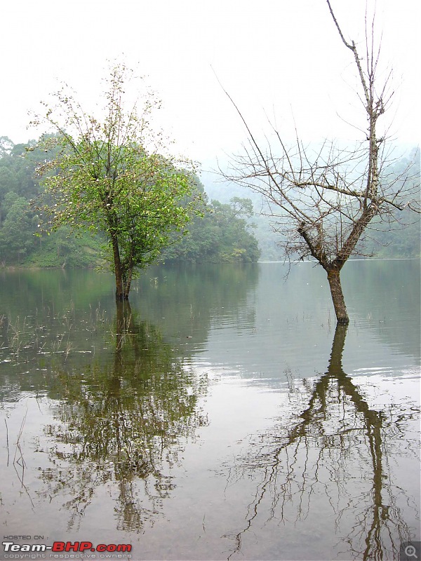 The Lakes - Nainital, Bhimtal, Naukuchiyatal, Sattal.-6.jpg