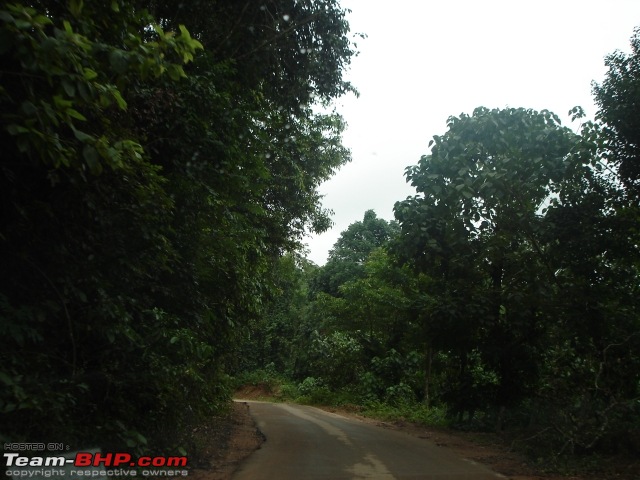 Beautiful Karnataka - 1300 Kms of Monsoon Magic-dsc04470.jpg