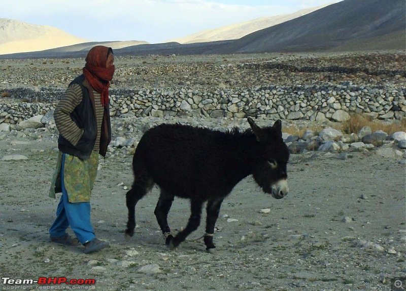 Hawk-On-Fours (H-4) Roadtrip:  Leh(t)'s go to Ladakh & Srinagar with QuickSilver.-spangmik2-6k100.jpg