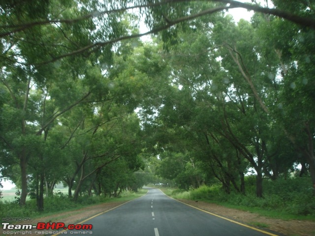 Beautiful Karnataka - 1300 Kms of Monsoon Magic-dsc04714.jpg