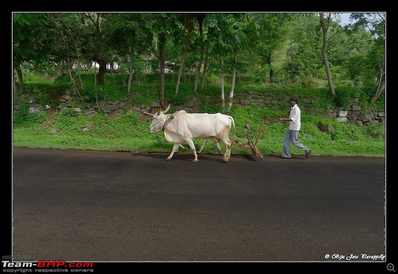 2011 Monsoon Trips :: Starts off with a trip to the origin of the Bhima River-p1030167.jpg