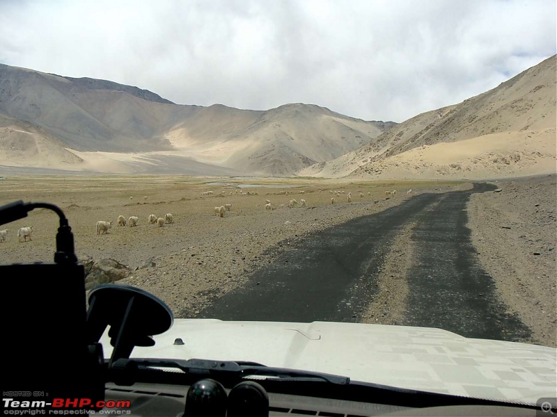 Hawk-On-Fours (H-4) Roadtrip:  Leh(t)'s go to Ladakh & Srinagar with QuickSilver.-tsaga2kiagar-5.jpg