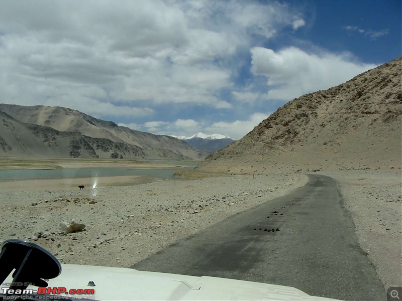 Hawk-On-Fours (H-4) Roadtrip:  Leh(t)'s go to Ladakh & Srinagar with QuickSilver.-tsaga2kiagar-6.jpg