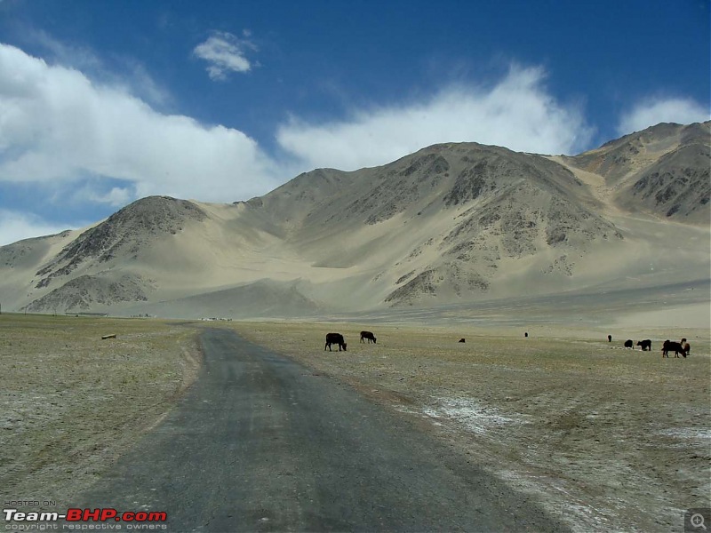 Hawk-On-Fours (H-4) Roadtrip:  Leh(t)'s go to Ladakh & Srinagar with QuickSilver.-tsaga2kiagar-8.jpg