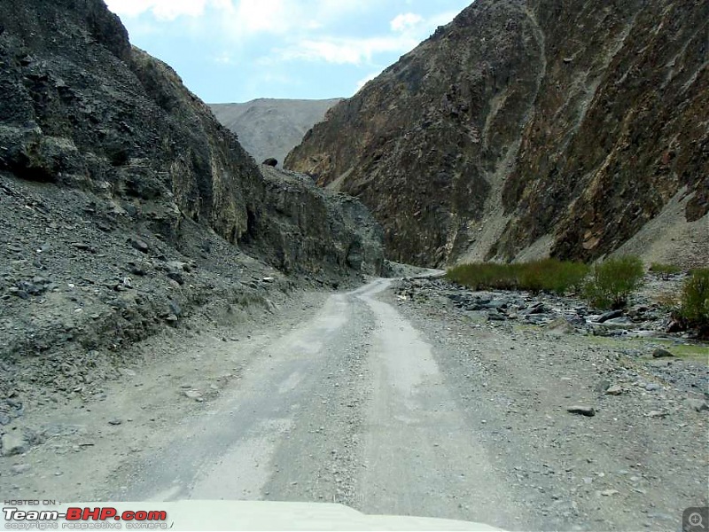 Hawk-On-Fours (H-4) Roadtrip:  Leh(t)'s go to Ladakh & Srinagar with QuickSilver.-tsaga2kiagar-20.jpg