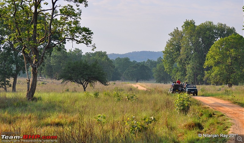 Call of the Wild: A 3500 km roadtrip to Pench, Bandhavgarh and Kanha in a Fortuner-dsc_7200.jpg