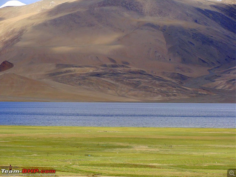 Hawk-On-Fours (H-4) Roadtrip:  Leh(t)'s go to Ladakh & Srinagar with QuickSilver.-korzok-12k200.jpg