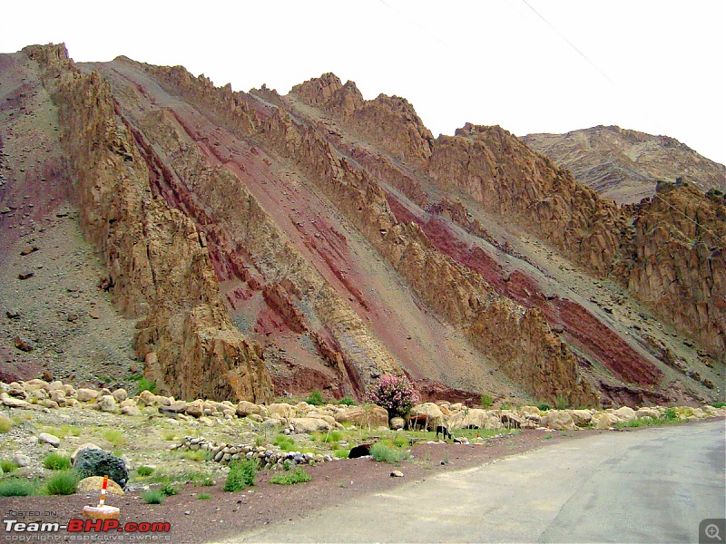 Fauji's Drivologues : Magical Mountainscapes - A Pictorial ode to Ladakh!-89-leh-city.jpg