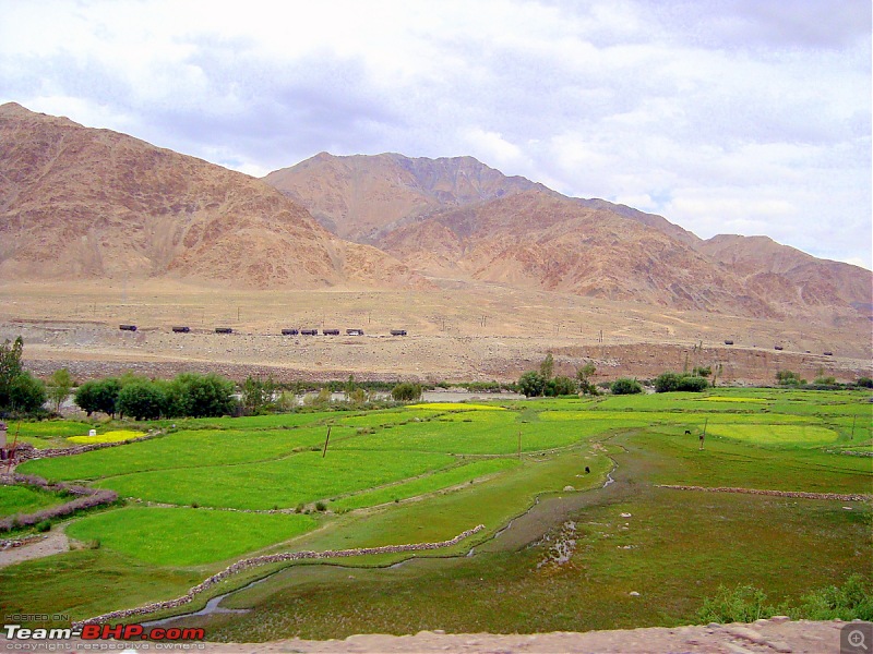 Fauji's Drivologues : Magical Mountainscapes - A Pictorial ode to Ladakh!-90-leh-city.jpg