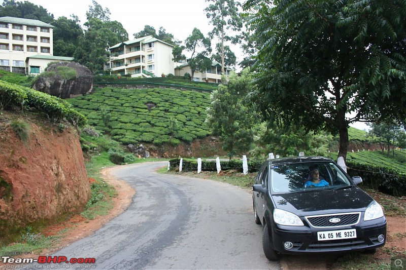Bangalore - Munnar - Kumarakom - Wayanad... 8 Day trip!!-img_2882-desktop-resolution.jpg