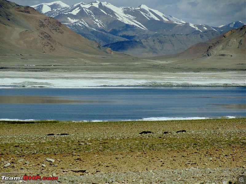 Hawk-On-Fours (H-4) Roadtrip:  Leh(t)'s go to Ladakh & Srinagar with QuickSilver.-korzok2kar-37.jpg