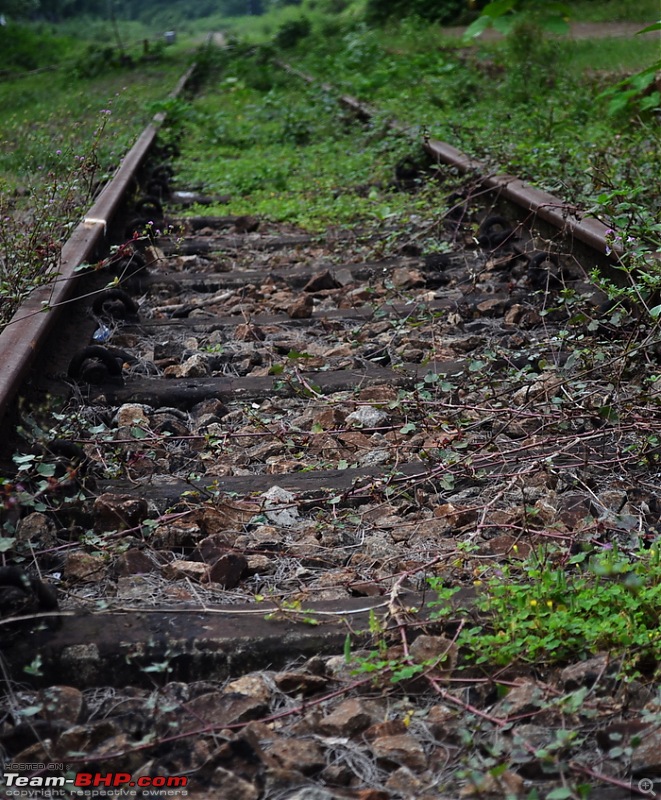 Romancing the British Raj Legacies - Punalur - Shenkottai Meter Gauge Rail Trail-dsc_0556.jpg