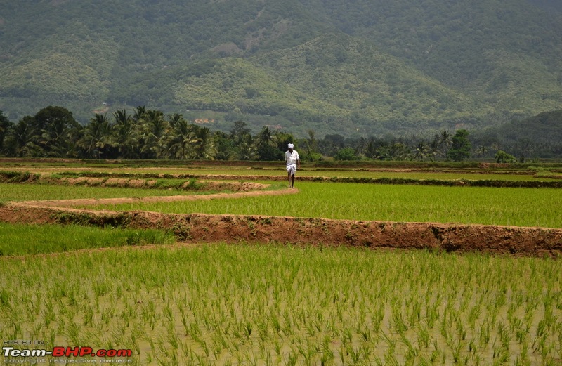 Romancing the British Raj Legacies - Punalur - Shenkottai Meter Gauge Rail Trail-dsc_0112.jpg