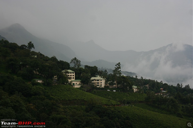 Bangalore - Munnar - Kumarakom - Wayanad... 8 Day trip!!-img_3131-desktop-resolution.jpg