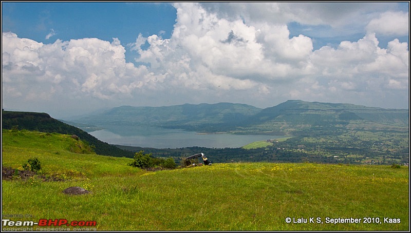 Kaas - The Valley of Flowers-dsc_8697.jpg