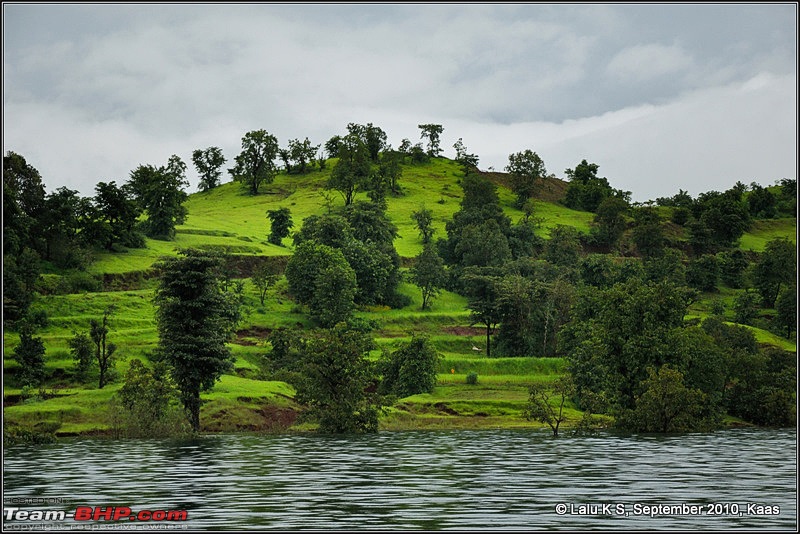 Kaas - The Valley of Flowers-_dsc9045.jpg