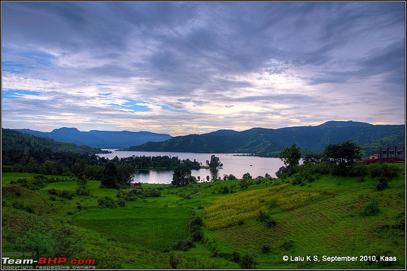 Kaas - The Valley of Flowers-_dsc9214.jpg