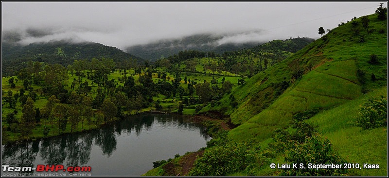 Kaas - The Valley of Flowers-_dsc9316.jpg