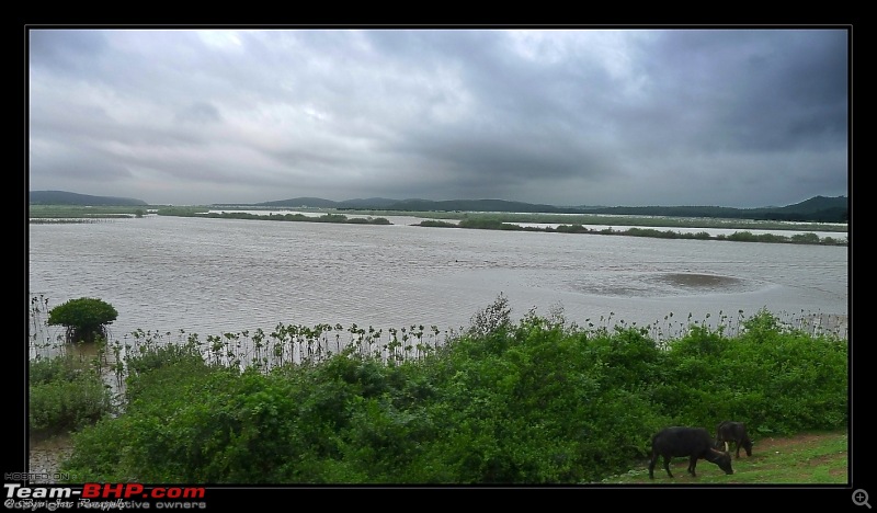 2011 Monsoon Trips : Romancing the rains. Postcards from the Konkan & deccan plateau-p1030429.jpg