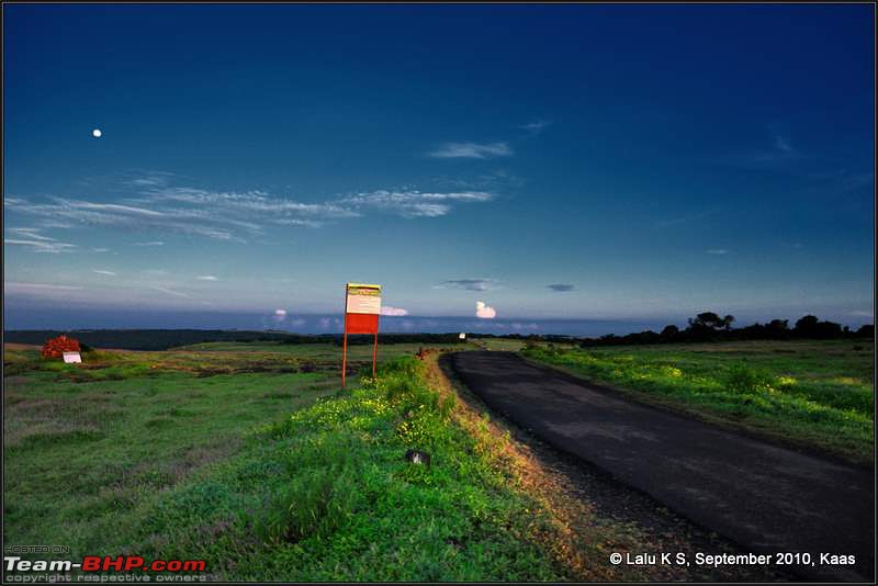 Kaas - The Valley of Flowers-_dsc9582.jpg