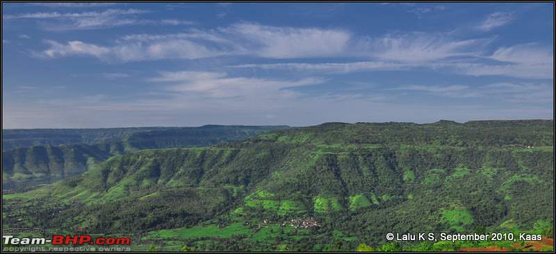 Kaas - The Valley of Flowers-_dsc9901.jpg