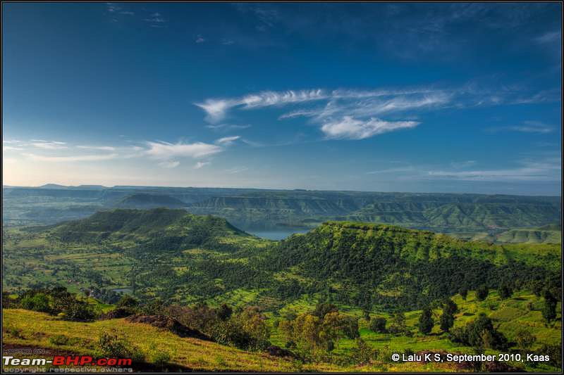 Kaas - The Valley of Flowers-_dsc0073.jpg