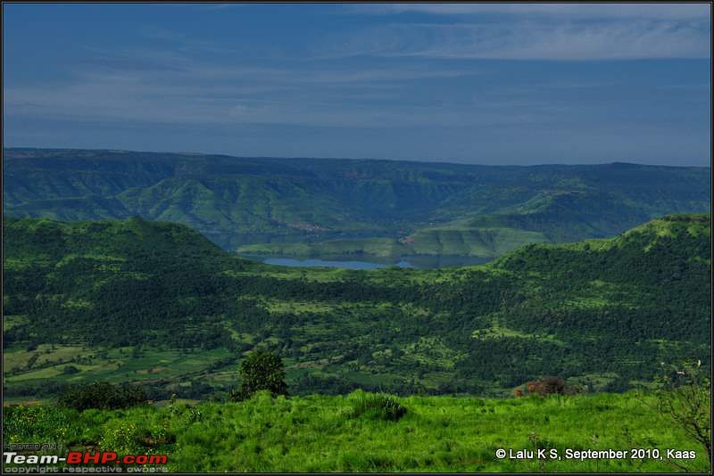 Kaas - The Valley of Flowers-_dsc0090.jpg