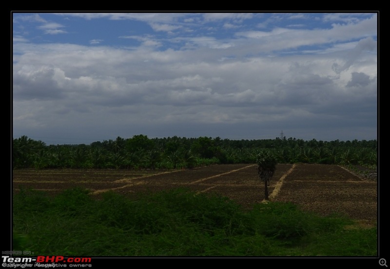 2011 Monsoon Trips : Romancing the rains. Postcards from the Konkan & deccan plateau-p1030832.jpg