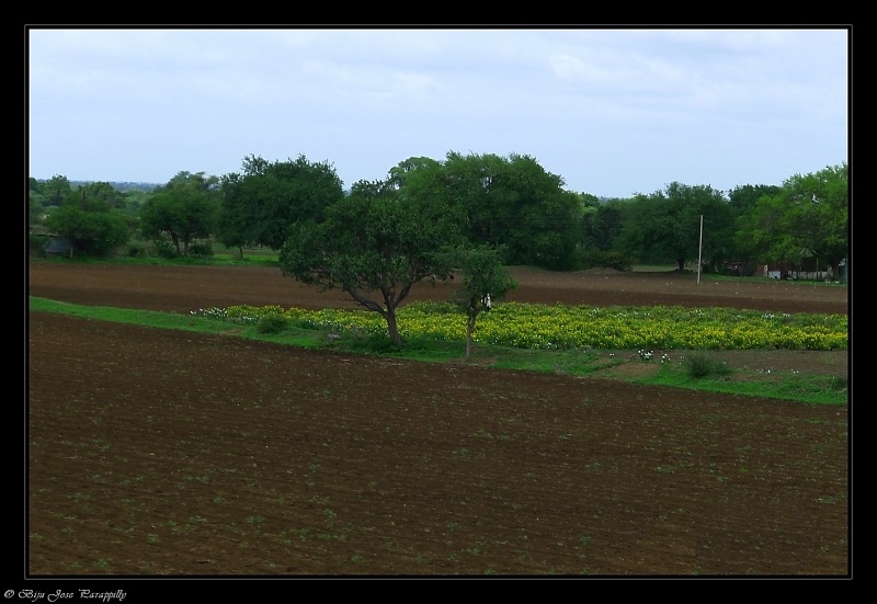 2011 Monsoon Trips : Romancing the rains. Postcards from the Konkan & deccan plateau-p1030876.jpg