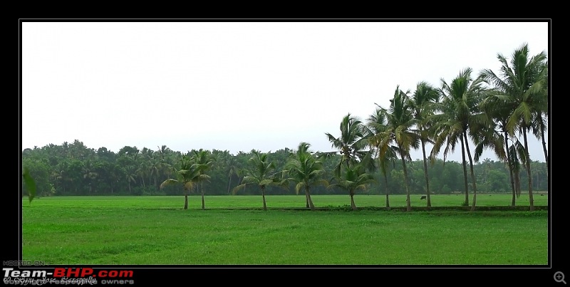 2011 Monsoon Trips : Romancing the rains. Postcards from the Konkan & deccan plateau-p1030689.jpg