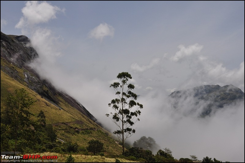 Munnar in Monsoon-dsc_0531.jpg