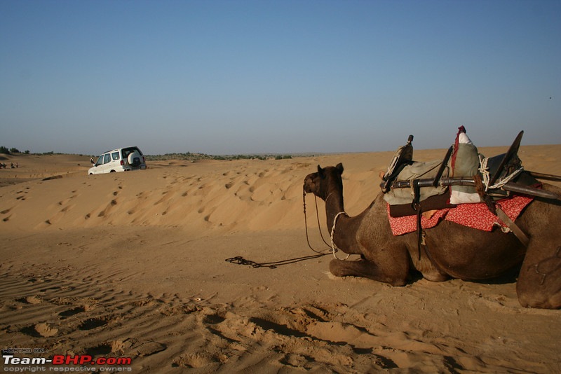 2100kms - To the Desert and Back(Jaisalmer Phalodi Sambhar!)-393672650_xx6gsl.jpg