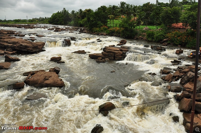 2 days, 2 states, 2 waterfalls and 1025 kms without a horn: A travelogue-dsc_1056.jpg