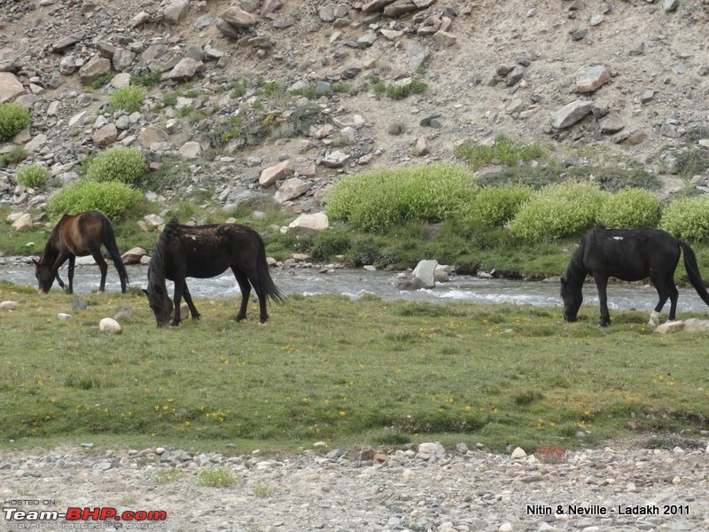 An Unlikely Pair (Safari & Gypsy) do a 6600km circuit Mumbai  Srinagar- Leh - Mumbai-dsc01288.jpg