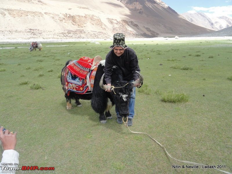 An Unlikely Pair (Safari & Gypsy) do a 6600km circuit Mumbai  Srinagar- Leh - Mumbai-dsc01350.jpg