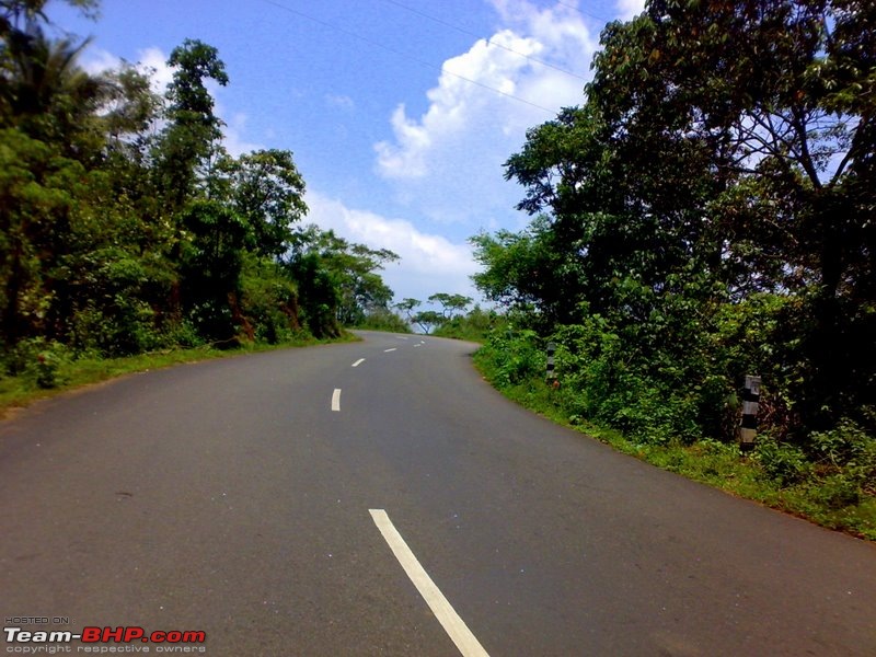 Idukki-Kerala's best driving roads?-05042008572.jpg