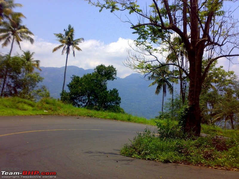 Idukki-Kerala's best driving roads?-05042008578.jpg