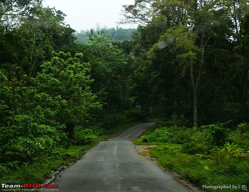 An Incredible Roadtrip to Trivandrum, Velankanni and Mesmerizing Munnar!-10-pooppara_route_to_munnar-.jpg