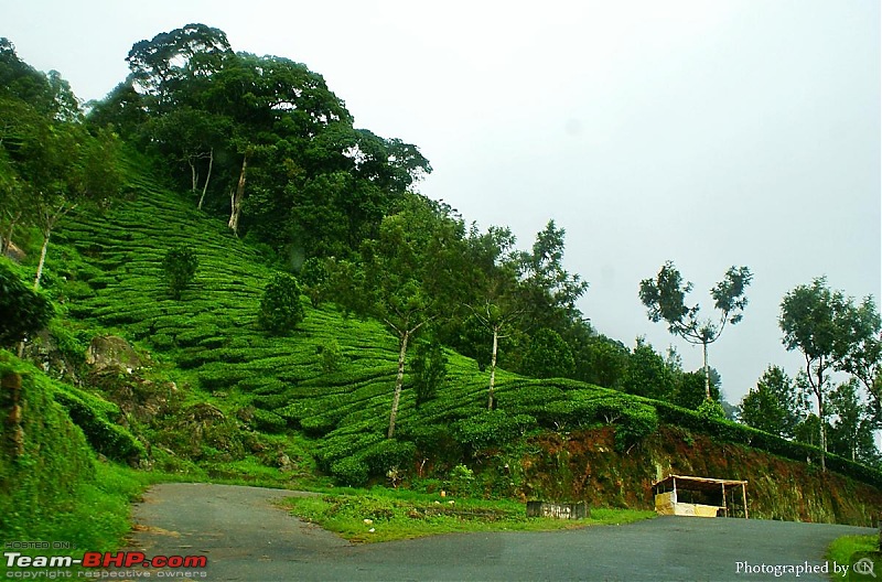 An Incredible Roadtrip to Trivandrum, Velankanni and Mesmerizing Munnar!-5-highway_to_-munnar.jpg