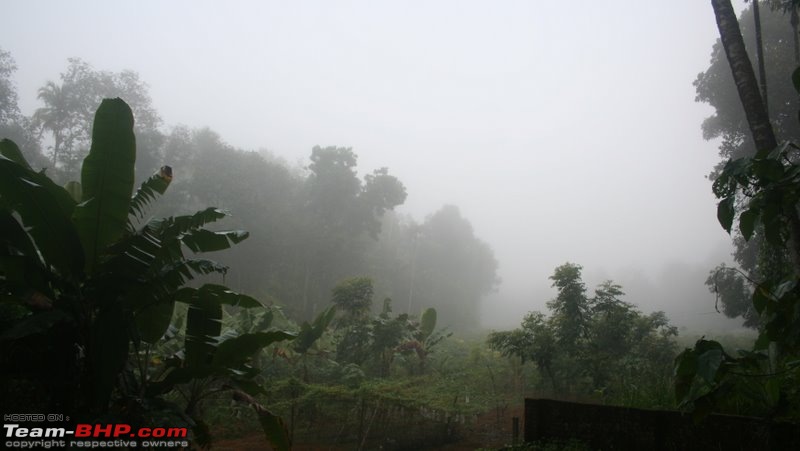 Idukki-Kerala's best driving roads?-img_3688.jpg