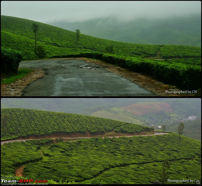 An Incredible Roadtrip to Trivandrum, Velankanni and Mesmerizing Munnar!-17-beautiful_road.jpg