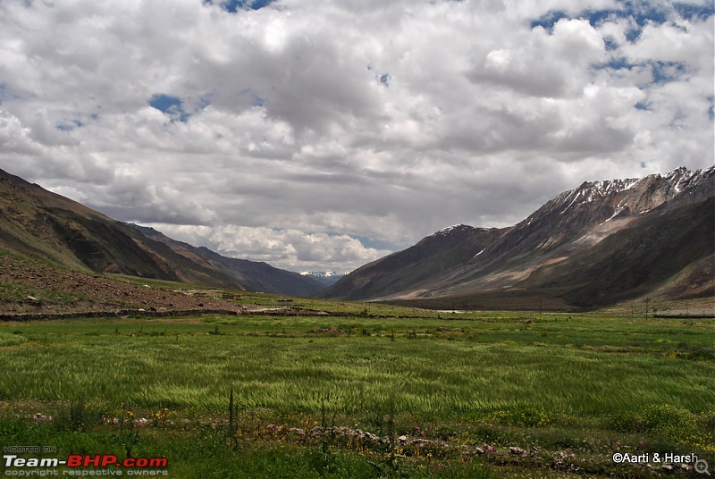 Ladakh & Zanskar: The road(s) less travelled-dsc_1010.jpg