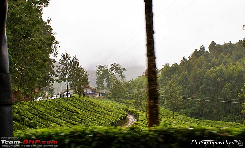 An Incredible Roadtrip to Trivandrum, Velankanni and Mesmerizing Munnar!-3-tea_estates.jpg