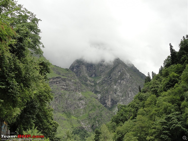 Soaking in the freshness in the midst of a blossoming Valley of flowers and Badrinath-dsc00908.jpg