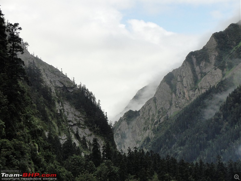 Soaking in the freshness in the midst of a blossoming Valley of flowers and Badrinath-dsc00946.jpg